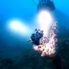 XHP702 Diving Grade Underwater 100m Led Torch Waterproof Power 26650 or 18650 Battery Bulbs Lantern Litwod1570437