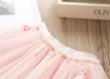 Дети Дизайнерская одежда для девочек Фламинго футболки Mesh юбок 2pcs комплекты Бутик девушки Пачка юбки костюмы Летняя одежда Детей DHW4031