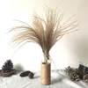 10 pièces vraies petites herbes des Pampas séchées, bouquet de fleurs de mariage, plantes naturelles, décoration de maison, fleurs séchées