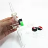 Hookahs Glas Rig Stick Mini Nectar Collector met Dikke Pyrex Clear Filter Tips Tester Straw Buis Waterleidingen Siliconen Wax Potten