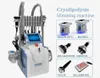 5 I 1 Cryolipolysis Ultrasonic 40K Cavitation Vacuum Multipolar Bipolor RF Laser Slimming Radio Frequency Skin Tigtoning Body Salon