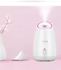 Fruto vegetal facial facial steamer doméstico spa beleza instrumento térmico nano spray água whitening face máquina de vapor cx200716