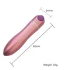 10 Speed ​​Bullet Vibrator Metal Vibrators Av Stick G-Spot Clitoris Stimulator Mini Sex Leksaker för Kvinnor Moturbator J2501