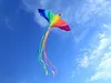 Kids Gifts 74 Inches Colorful parrot Bird Kite Easy Fly With Handle Line Outdoor Toys Wholesale