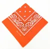 Unisex Fashion Hip-Hop Multifunktionell Bandana Outdoor Head Scarf Magic Anti-UV Bandana Headband Scarf Gratis Frakt Sn1634