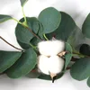 Cápsula do algodão natural com Eucalyptus Guirlandas Artificial Vines dólares de prata verde eucalipto plantas Wedding Party Home Decor