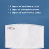 PM2.5 Filter voor Masker Anti Haze Mondmasker Vervangbaar Filter-plak 5 Lagen Niet-geweven Actieve Kool Filter Gezichtsmaskers Pakking Auto Spons