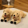 3575 cm mignon labrador retriever peluche jouet dessin animation animal allongé chien peluche fille endormie oreiller doux child confort jouet christma8755559