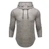 Men's T-Shirts FFXZSJ Brand Long-sleeved Hooded Casual T-shirt Fashionable And Stylish Comfortable Cotton European Size S-2X240Q