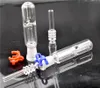 Hot Sale 10mm 14mm 18mm DAB Halmolja Riggar Micro NC Kits Glas Vattenrör med kvarts Tips och Keck Clip Rökning Tillbehör