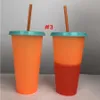 24oz 컬러 컵 마술 플라스틱 뚜껑과 밀짚 재사용 가능한 캔디 색상으로 마시는 플라스틱 마시는 플라스틱 Tazas 콜드 컵 여름 물병 컵