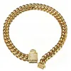 Girocollo con collare da allenamento con catena a maglie cubane taglio oro in acciaio inossidabile di moda larga 14 mm con collana per cani con chiusura in zirconi 1234quot5874307