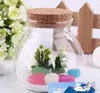 Nuovo arrivo Design carino Tè Caffè Zucchero Contenitori di vetro Fiore Pianta Vaso Vaso Decorazione domestica Festa Bellezza trasparente