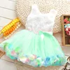 Babies Princess Girls Flower Dress 3D Rose Flower Baby Girl Tutu Dress with Colorful Petal Lace Dress Bubble Kjol Baby Clothes M23335870