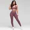 Kadınlar için Sıcak Yoga Kıyafetler Spor Seti Seksi Spor Koşu Kıyafetleri Tayt Yaz