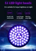 UV-LED-Fackel-Leuchten 51 LEDs 395NM ultraviolette Blitzlichtlampe Blacklight-Detektor für Hundeurin-Haustierflecken und Bettwanzen