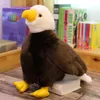 20/30/40 cm realistischer Vogel Seeadler Stofftier Simulation Tier Adler Plüschpuppe Kinder Plüschtier Geburtstagsgeschenk Heimdekoration