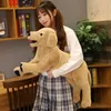 3575 cm mignon labrador retriever peluche jouet dessin animation animal allongé chien peluche fille endormie oreiller doux child confort jouet christma8755559