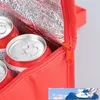 Nonwoven Can Cooler Bag Portable Ice Pack Food Packing Container Dry Ice Insulated Cooler Bags Thermal Lunch Delivery Bags1523331