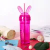 Ear Tumblers Colorful Transparent Mouse Ear Water Bottle With Straw and Lid Cup Milke Coffee Mug Girls Gift HHA-1372