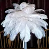 Vackra Marabou Feathers för DIY Bridal Bröllopshantverk Millineri Kort Dekorera Bröllop Östrich Fjädrar Bröllopsdekoration Tillbehör