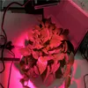 COB LED Grow Lights 200W 3000K 4000K DIY Kit Volledig Spectrum voor Indoor Planten Groenten Bloemen Greenhouse