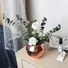 Нержавеющая сталь Vase Mental Круглый Горшок Золотой Черный плантатор сочной Зеленый завод Бонсай Pot Полированный Горшок