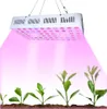 Design Obiektyw Optyczny COB2000 Pełne światła spektrum Double Chip High PPFD 2000W COB LED Grow Light for Indoor Plant