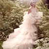 A Line Wedding Dresses Illusion Halter Lace Appliques Sleeveless Birdal Gowns Sequins Tiered Ruffles Vestidos De Novia