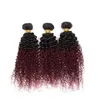 Mode jungfräuliche verworrene lockige Non-Remy Haarverlängerungen Ombre Weave 1b 99j Dark Root Red