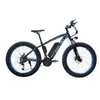 bafang electric bike