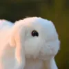 Simulação lebre coelho de orelhas longas boneca de pelúcia coelho branco brinquedo de pelúcia animal boneca decoração do carro presentes do feriado 27cm dy508773266400