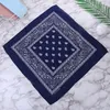 20 kleuren Polyester Magic Sjaal Outdoor Riding Hood Amoeba Patroon Bandanas Paisley Face Handdoek Multifuction Head Bandanas M011E