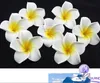 200pcs Таблица украшения Плюмерия Гавайская пены Frangipani цветы для свадебного украшения Romance