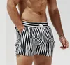 Pantaloncini da bagno Costume da bagno Abbigliamento da spiaggia Tronchi Costumi da bagno Tavola da surf A righe Taglie forti Per uomo Uomo Asciugatura rapida Uomo DESMIIT Spiaggia