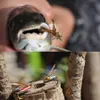 40 stks hoogwaardige Japanse professionele bionische vliegvlinders insecten insecten vissen zalmvliegen lokken kleurrijke haarnaaldhaken tackle638512154