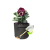 Ambientalmente amigável planta não -wovens Plant Grow Bag Potling Plower Planter Flower Green Plants Gardening Poth Bolsa com alça