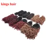 Finte Locs Estremità ricce Crochet Trecce Capelli 12quot 18strandpack Capelli corti e medi intrecciati all'uncinetto sintetici2978939