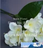 Riktiga touch blommor vit / rosa / fushia frangipani spray brud / bröllop buketter, 1pc med stem10 frangipani blommor