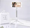 Newest Bluetooth Selfie Stick Mini Tripod Selfie Stick Extendable Handheld Self Portrait With Bluetooth Remote Shutter For Iphone 4313782