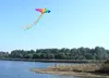 Kids Gifts 74 Inches Colorful parrot Bird Kite Easy Fly With Handle Line Outdoor Toys Wholesale