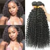 28 30 40 polegadas Pacotes de ondas profundas com fechamento Brasileiro Curly 100 Human Hair Water Wave 3 4 Facos de Terra e Lace