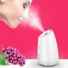 Fruto vegetal facial facial steamer doméstico spa beleza instrumento térmico nano spray água whitening face máquina de vapor cx200716