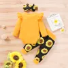 Designer Kleidung Kinder Mädchen Baby Mädchen Kleidung Sets Neugeborenen Baby Tragen Langarm Hosen Stirnband Baby Kleidung6314707