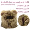 Costume Pet engraçado bonito Cosplay Lion Mane Wig Cap Hat para Cat Dog Clothes Xmas Dia das Bruxas vestido extravagante com orelhas Outono Inverno