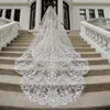 bridal hair cathedral veil