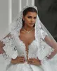 Saoedi-Arabische Baljurk Vintage Trouwjurken Plus Size V Back Kant Bruidsjurken met Sluier Personaliseer Robe de Mariée