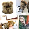 Cap Peruca Pet Hat Cat Cosplay Lion Mane com orelhas do gatinho Supplies Adjustable Dress Up Hat Halloween Outono Inverno Pet