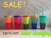 710 ml Temperatur Farbwechsel Tasse Kunststoff Tumbler Kaltgetränk Flasche mit Strohhalm und Deckel Magic Cup Sommer Drinkware Kostenloser Versand