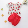 2020 Verão ternos frutas bebés Conjuntos infantil rendas Tops Blusa + calções 2Pcs / Set roupa do bebé do bebé roupas de grife